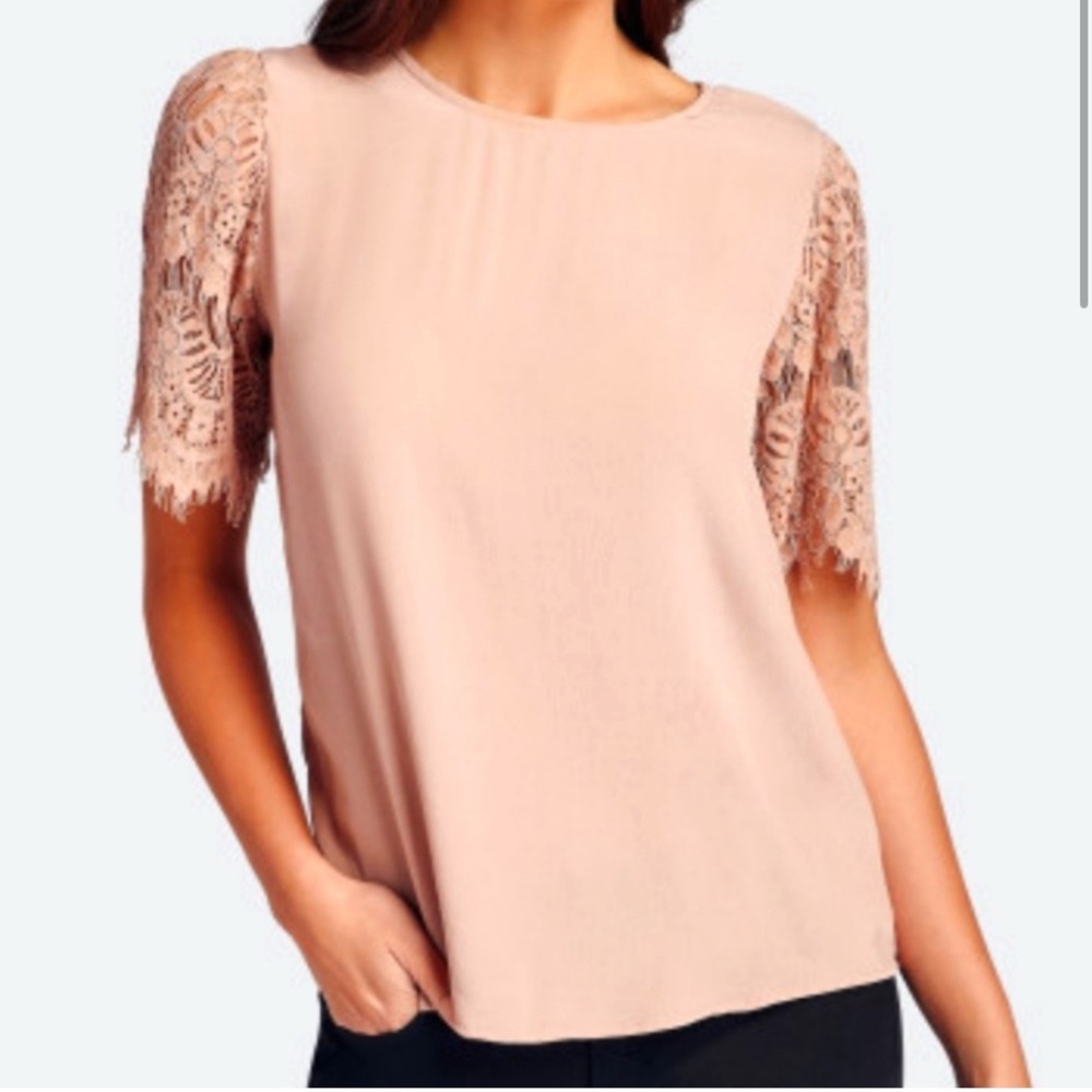 Wantable Dusty Rose Blouse Lace Sleeves Small